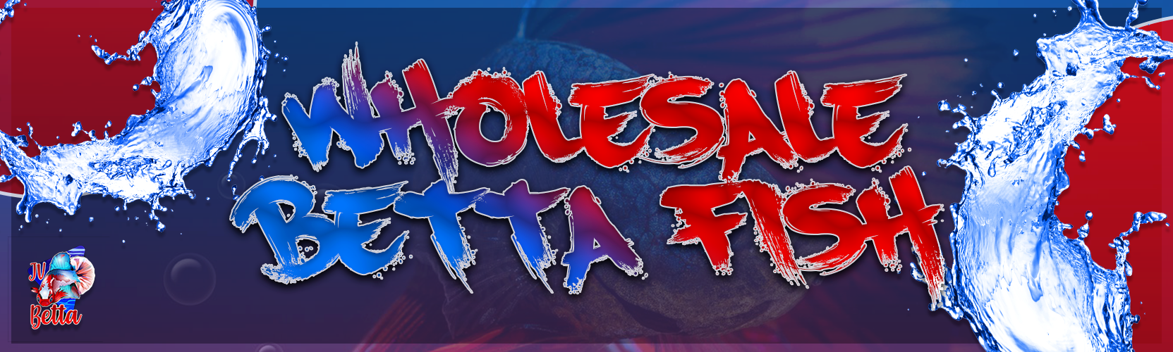 Wholesale betta fish for sale best sale